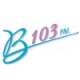 Listen to B103 103.1 FM (WGFB) free radio online