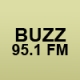 Listen to Buzz 95.1 FM free radio online