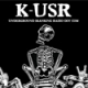 Listen to K-USR Underground Skanking Radio free radio online