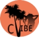 Listen to Vibe Audio Station Radio Listen to Vibe Audio Station free online radio