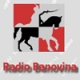 Listen to Radio Banovina free radio online