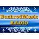 Listen to BushrodMusic RADIO-LA free radio online