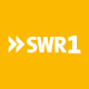 SWR1 RP Radiobox