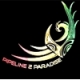 Listen to Pipeline 2 Paradise free radio online