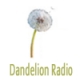 Dandelion Radio