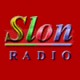 Listen to Radio Slon 89 FM free radio online