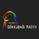 Listen to Gokkusagy Radio 99 FM free radio online