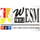 Listen to WESM Univ. of Maryland NPR 91.3 FM free radio online