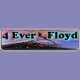 Listen to 4 Ever Floyd free radio online