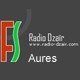 Listen to Radio Dzair Aures free radio online