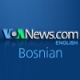 Listen to Voice of America - Bosnian free radio online