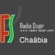 Listen to Radio Dzair Chaabia free radio online