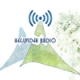 Listen to Hegyvidek Radio free radio online