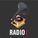 Listen to Radio 1 105.6 FM free radio online
