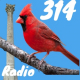 Listen to 314 Bird Radio free radio online