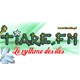 Listen to Tiare FM 104.2 free radio online