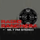 Listen to Radio Ranchera 95.7 FM free radio online