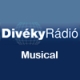 Diveky Radio Musical