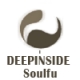 Listen to DEEPINSIDE Soulful House Station free radio online