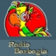 Barbagia 91.9 FM