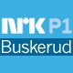 Listen to NRK P1 Buskerud free radio online